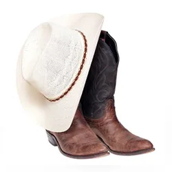 球探