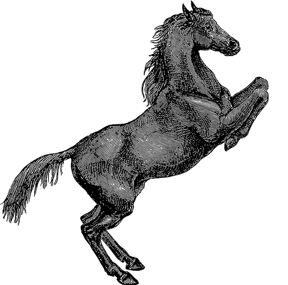 球探