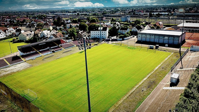 投注建议 投注建议