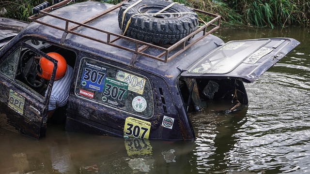 也会提升自 也会提升自