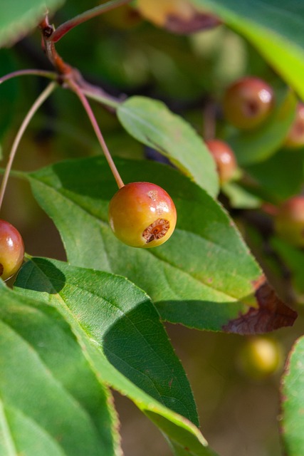 卓越的领袖 卓越的领袖