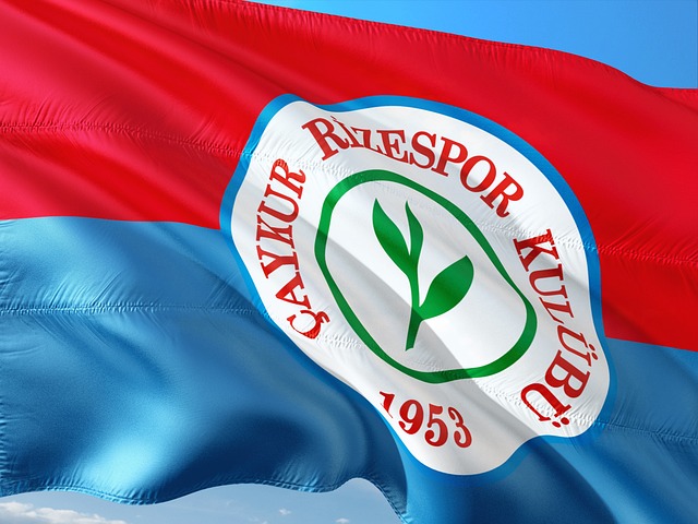 处起步阶段 处起步阶段