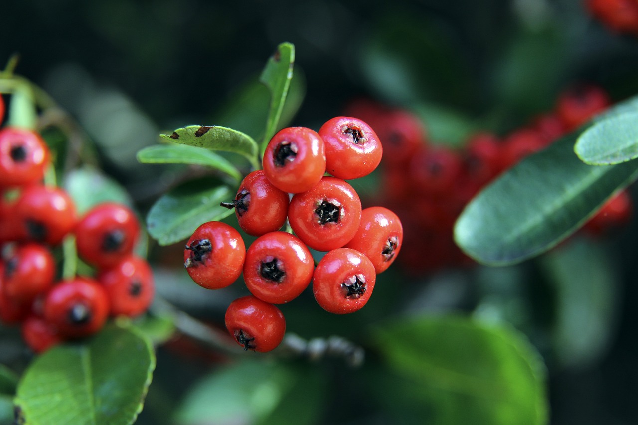 新老交替中 新老交替中