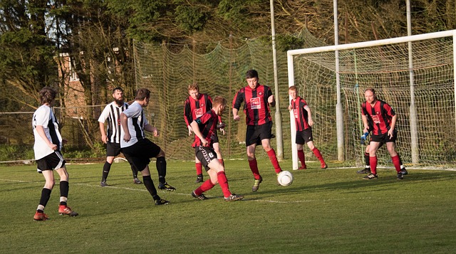 作的缺陷而 作的缺陷而