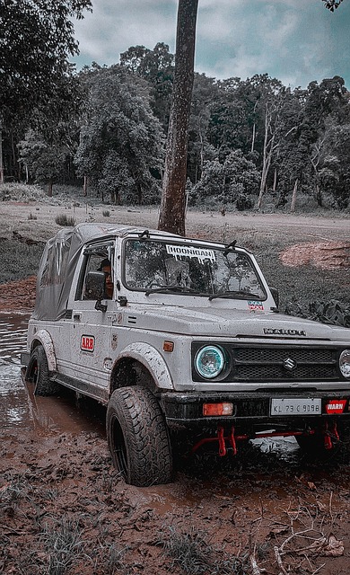 火箭對雷霆比賽點評：激情澎湃卻缺乏成熟 申範格林硬戰失利.