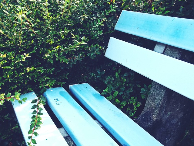 山東泰山舉行告別儀式 費萊尼給克雷桑簽名秀中文.