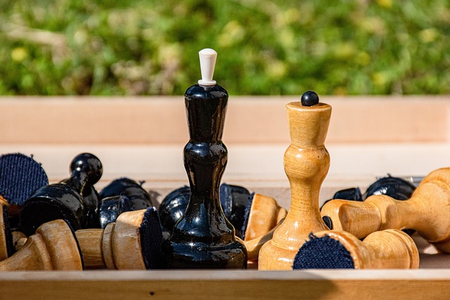 我们不仅看 我们不仅看